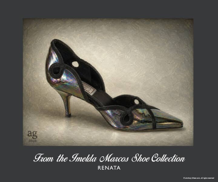 Renata Iridescent Stiletto Pumps with petrol-effect leather and black suede piping from the Imelda Marcos Shoe Collection